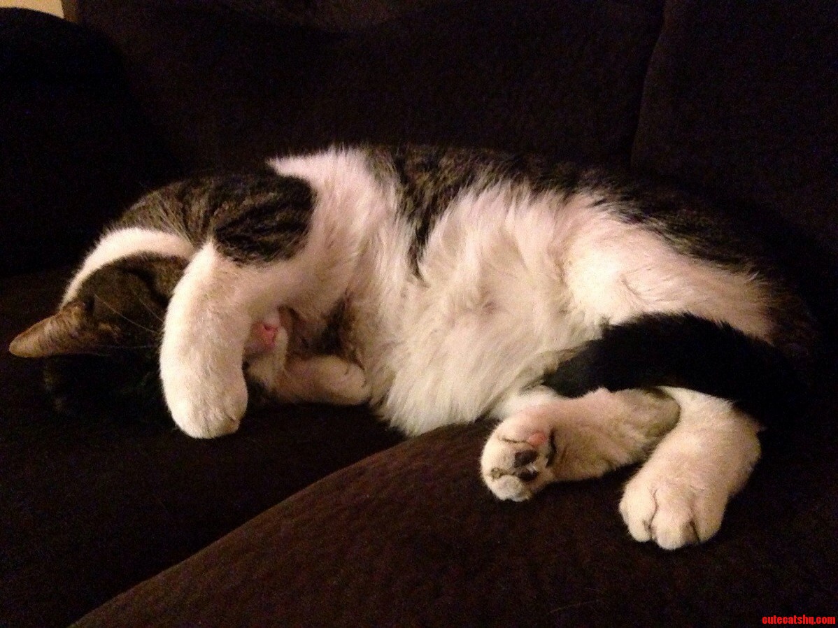 My Sleepy Baby.