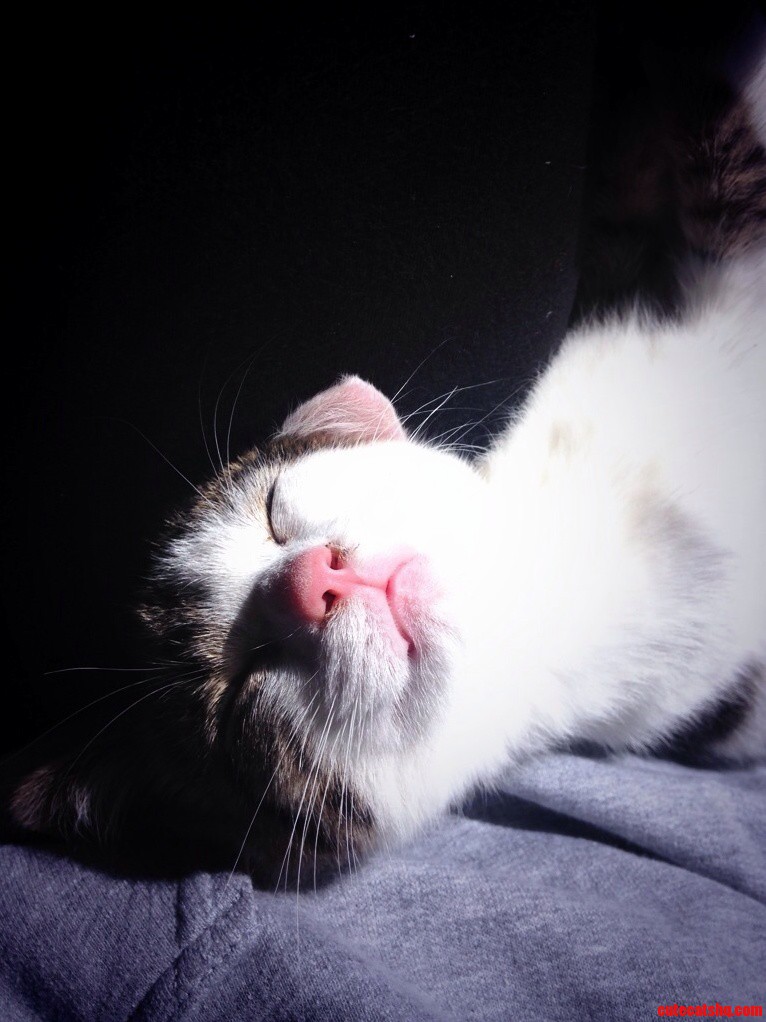 My Sleepy Boy.