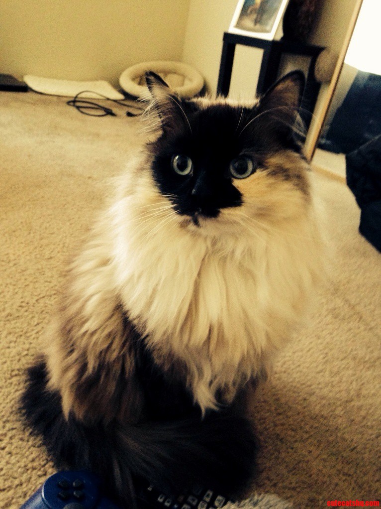 My Wonderful Beauty.