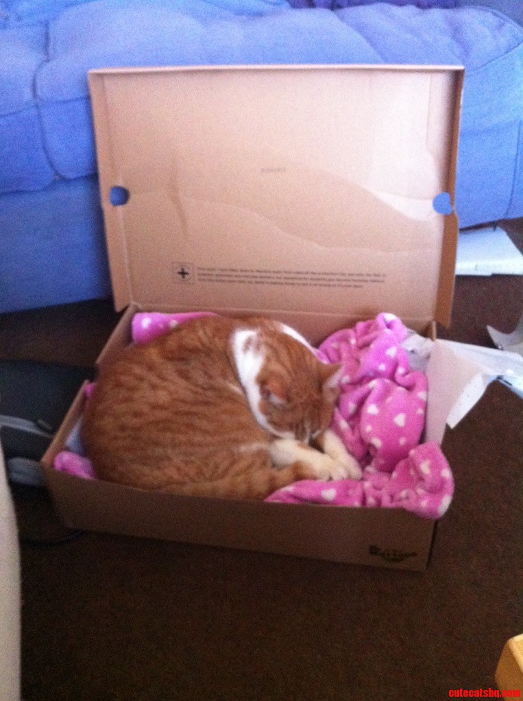 New Box