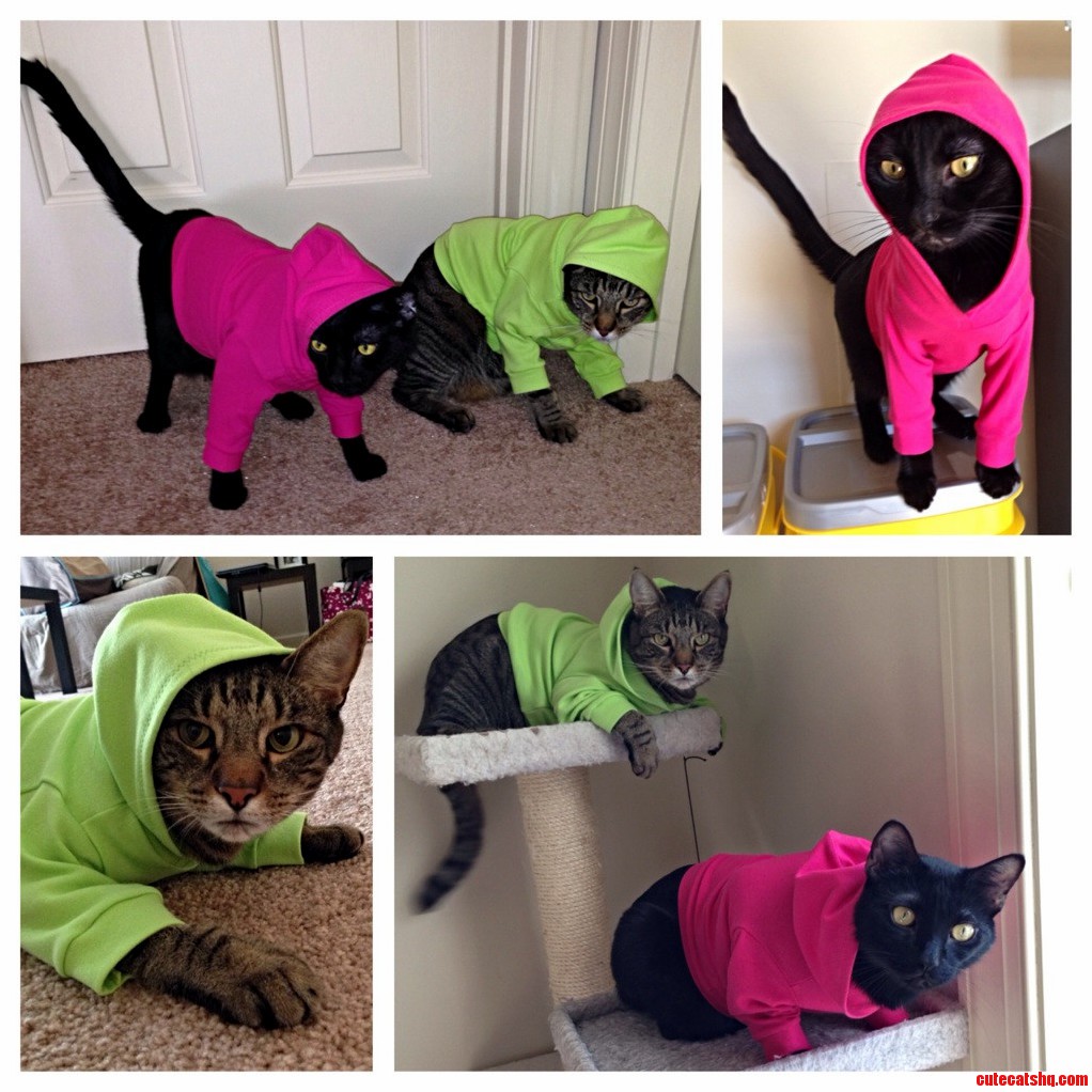New Hoodies