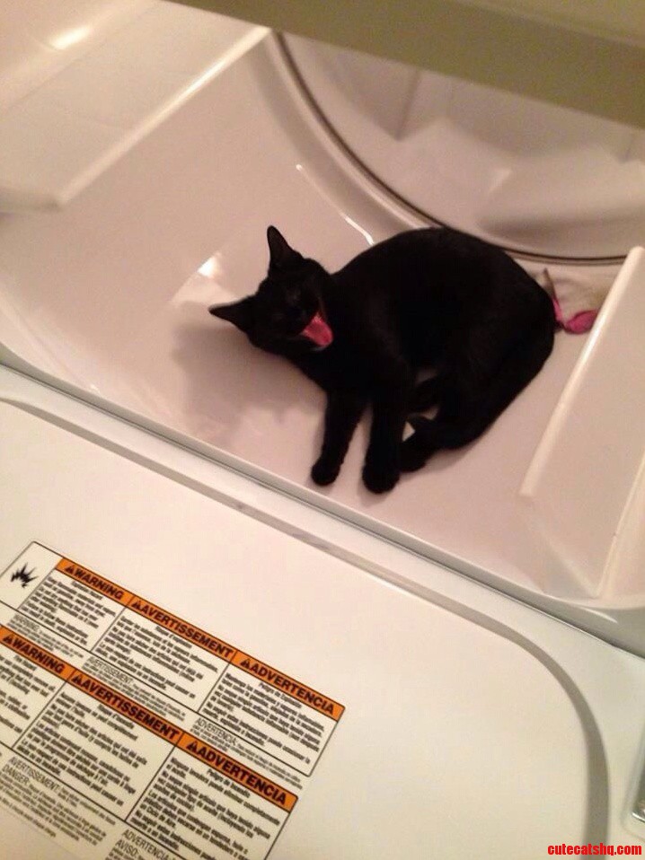 No Time to Time to Wait for Warm Laundry Straight to the Source He Goes.