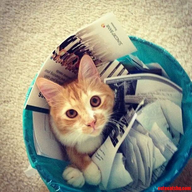 Nothing to See Here.
