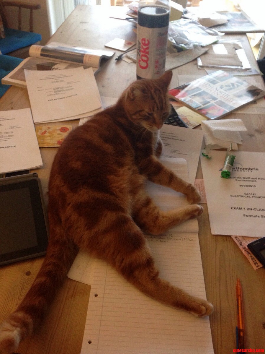 Oh Youre Revising Let Me Help You.