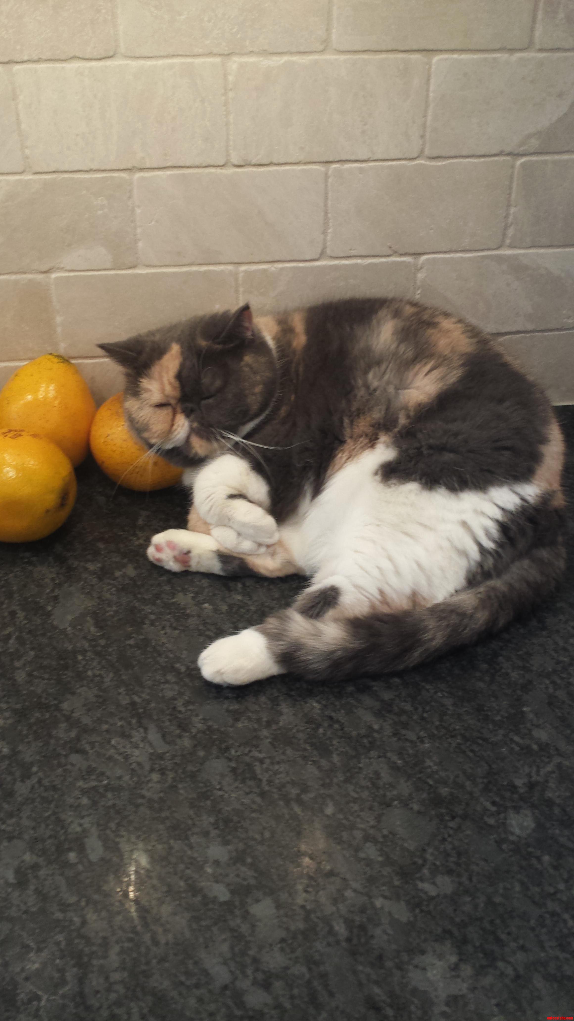 Orange Pillow