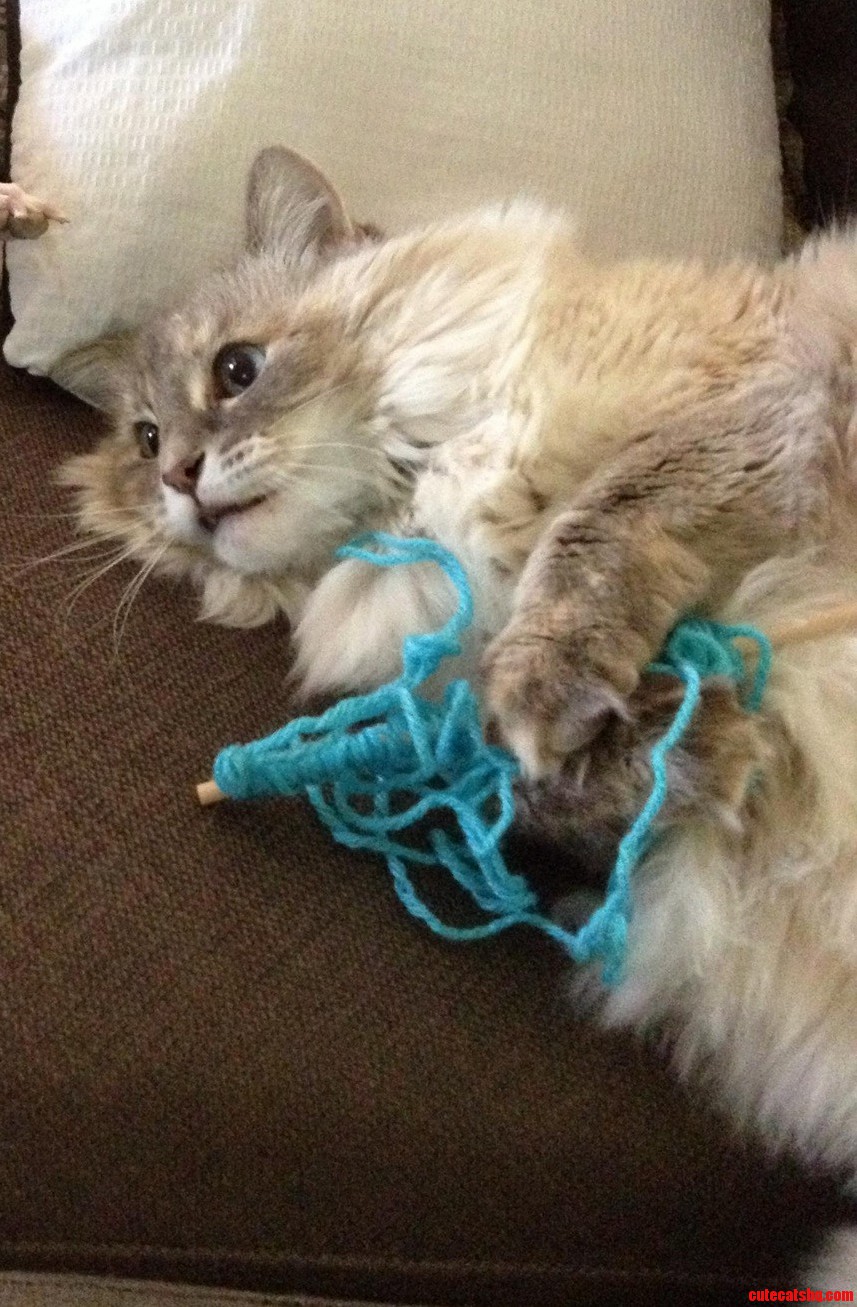 Play Time
