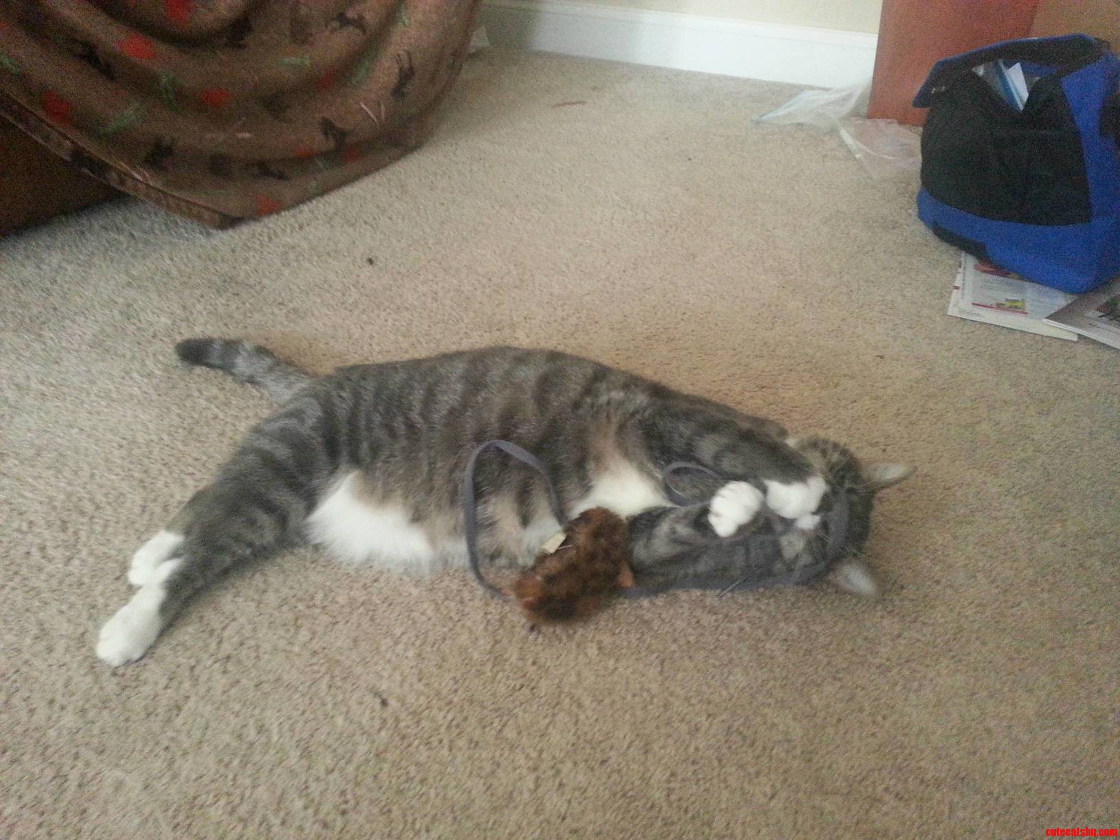Playing with His String