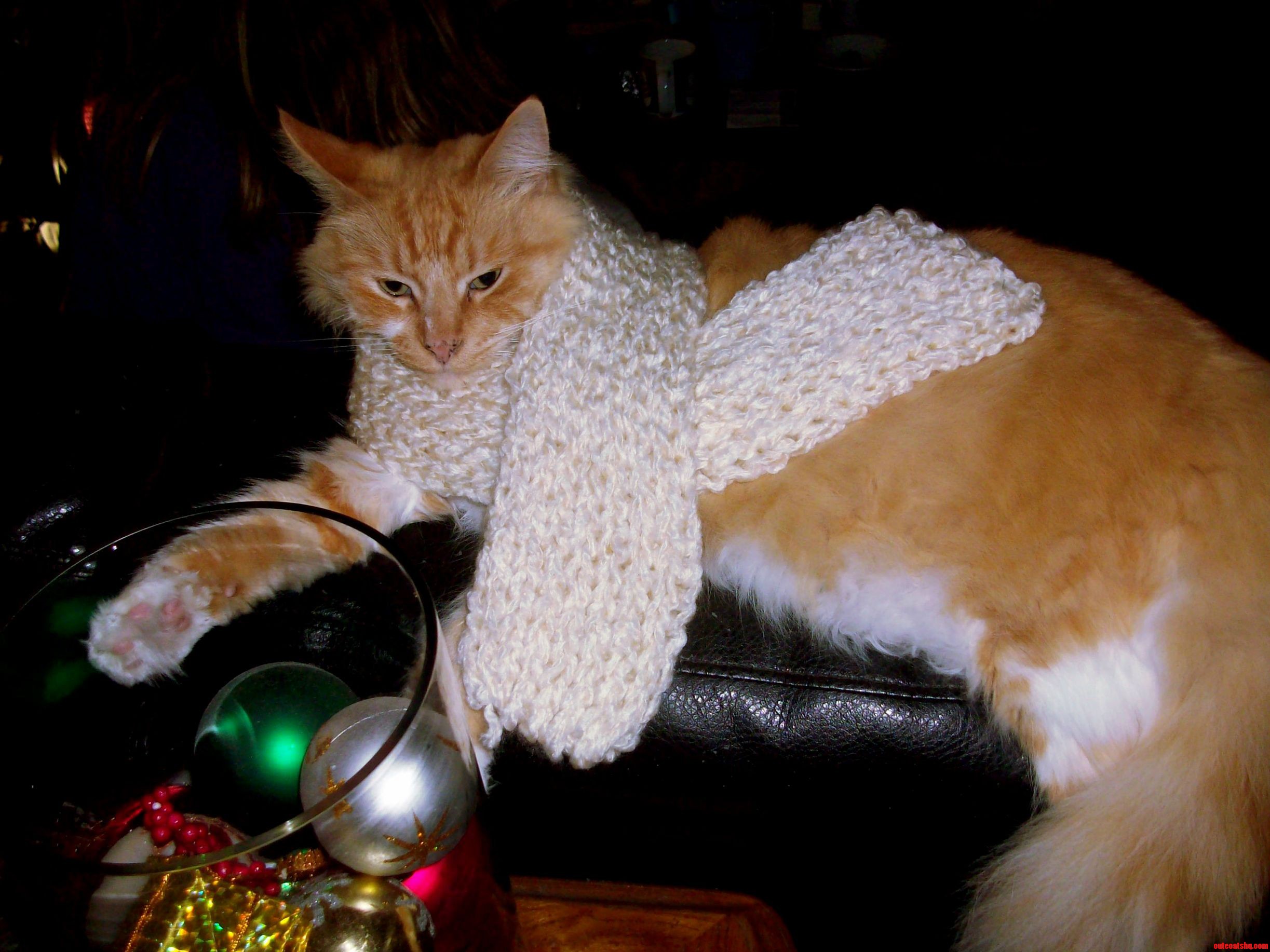 Ran Out of Yarn Kitty Scarf
