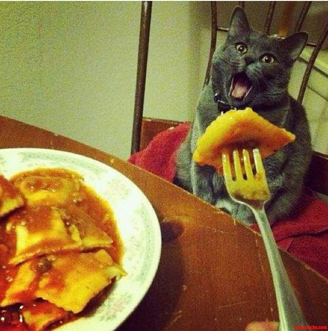 Ravioli Ravioli Give Me the Formuoli