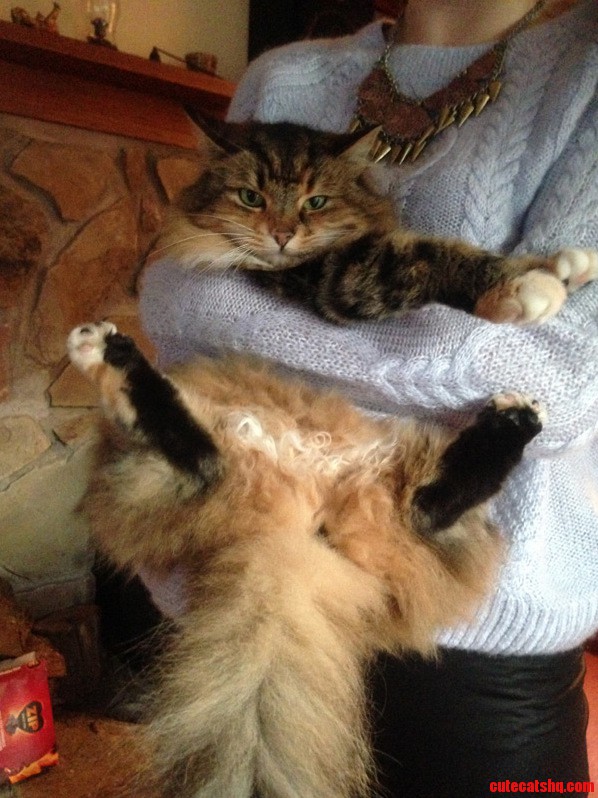 Release Me Human.