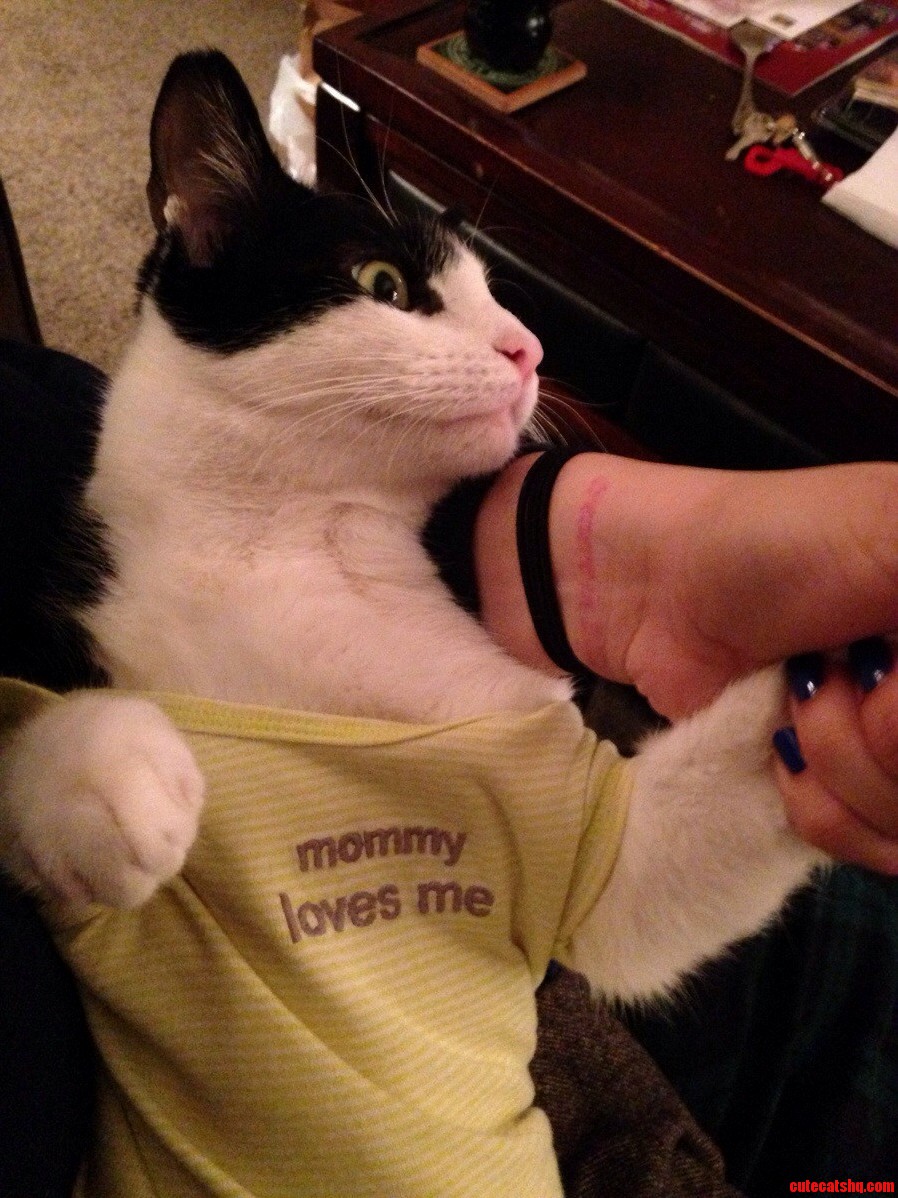 Sampson Is a Mommas Boy.