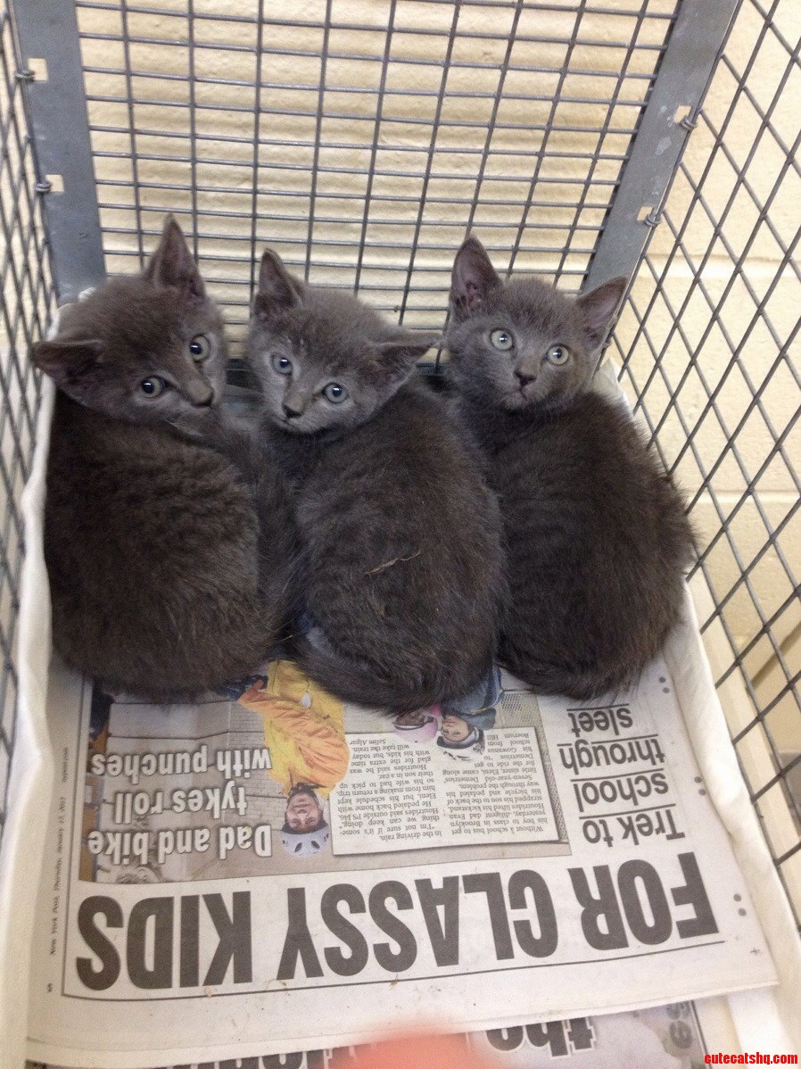 Seeing Triple