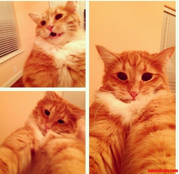 Selfie Nation