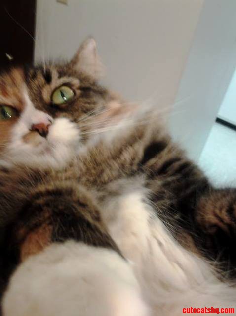 Selfie