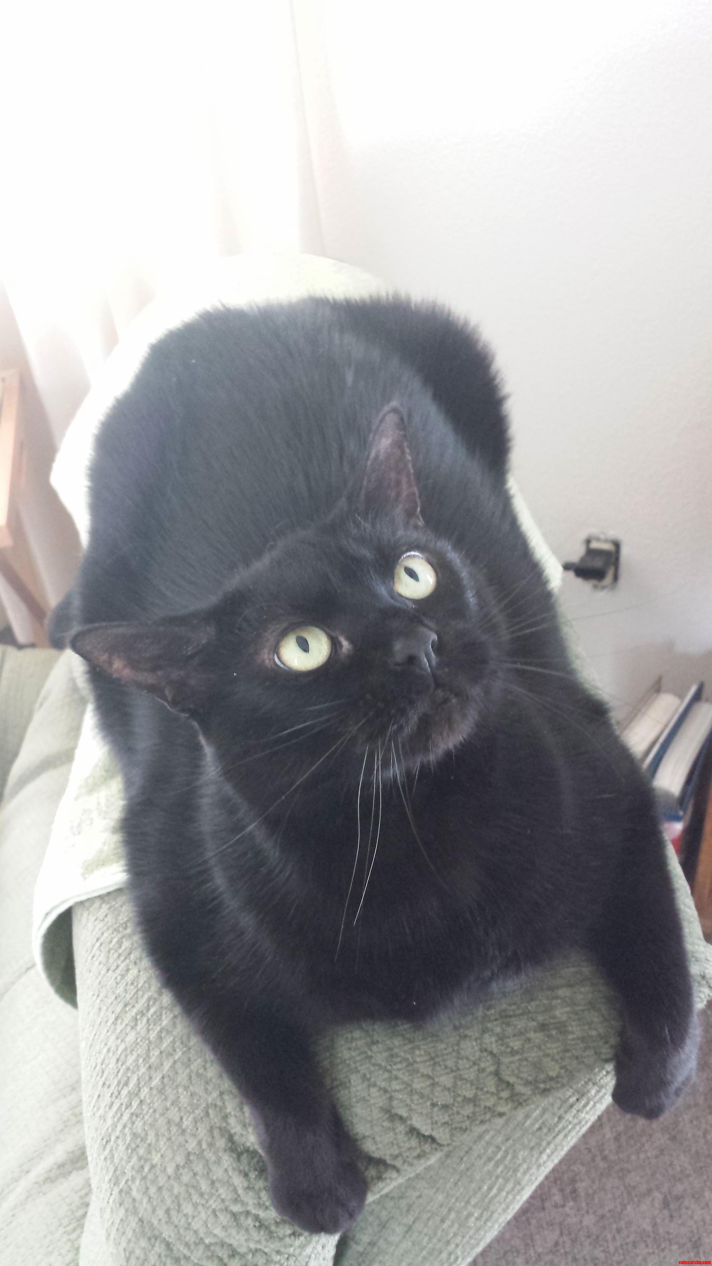 She Is Ready for a Fight