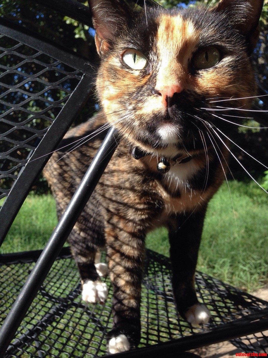 She Never Lets Anyone Take a Picture of Her. Meet Princess Fireball.