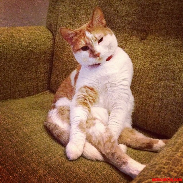She Sits Like This 93 of the Time.
