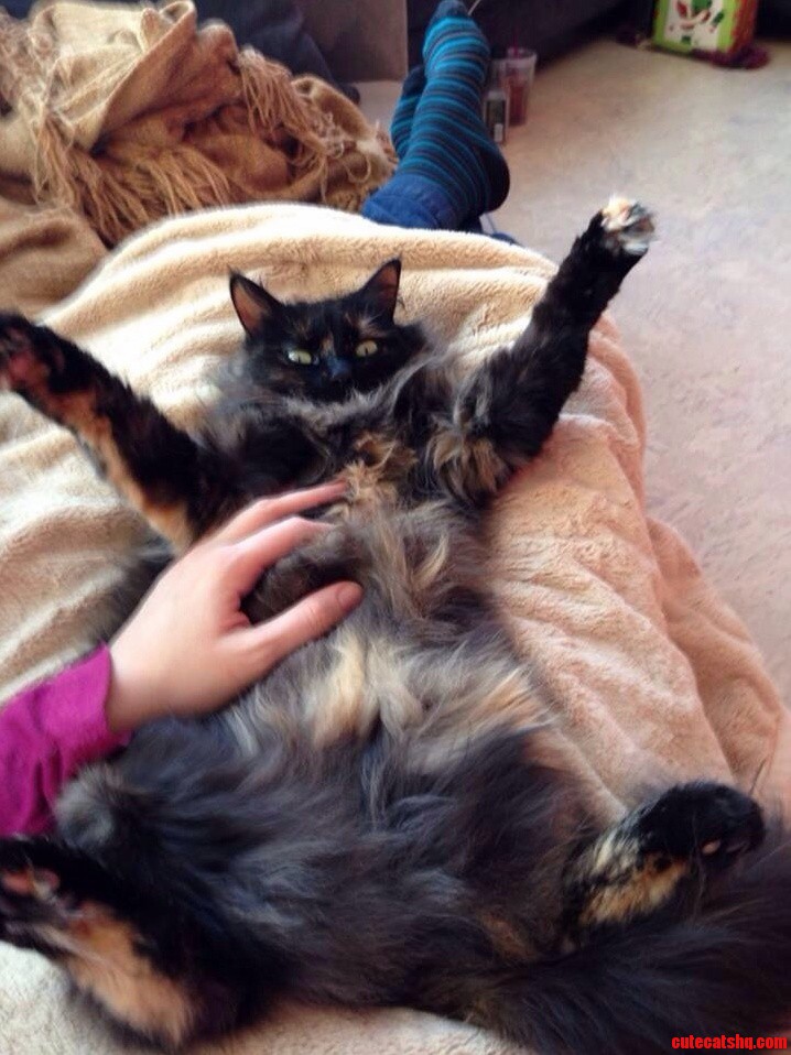 She Stayed Like That for 20 Minutes.