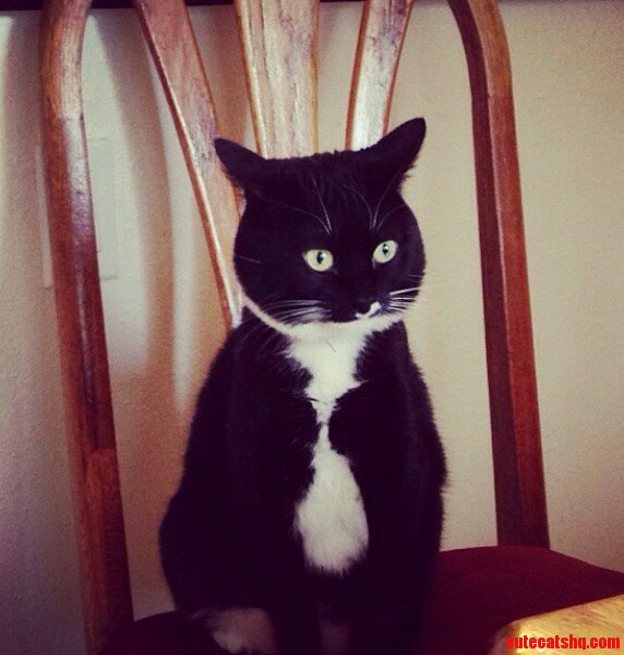 She Thinks She Is Human.