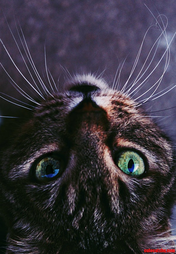 Shes Such a Great Model.
