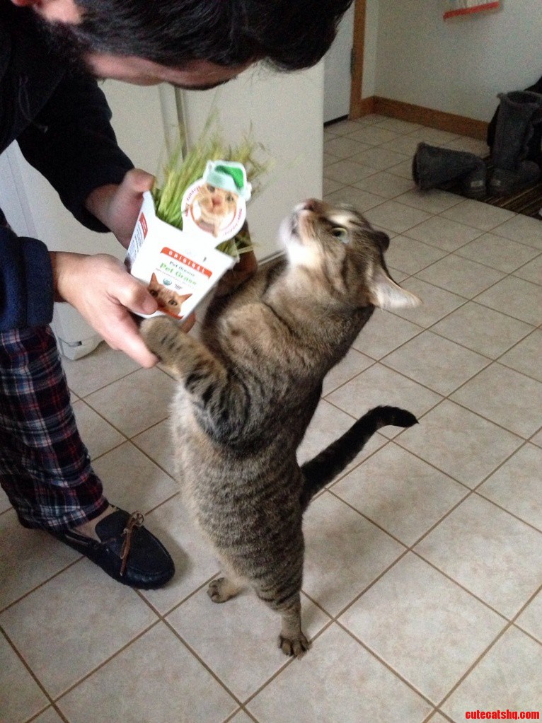 Skeeter Getting His Christmas Present from Dad