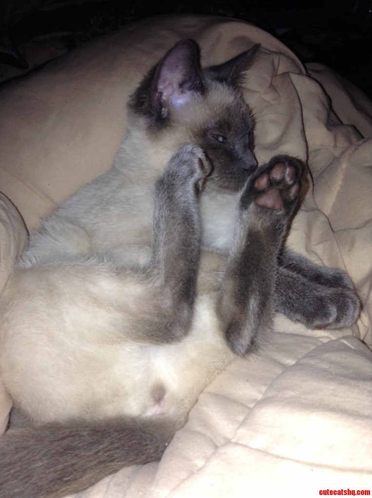 Stormy Is So Lazy