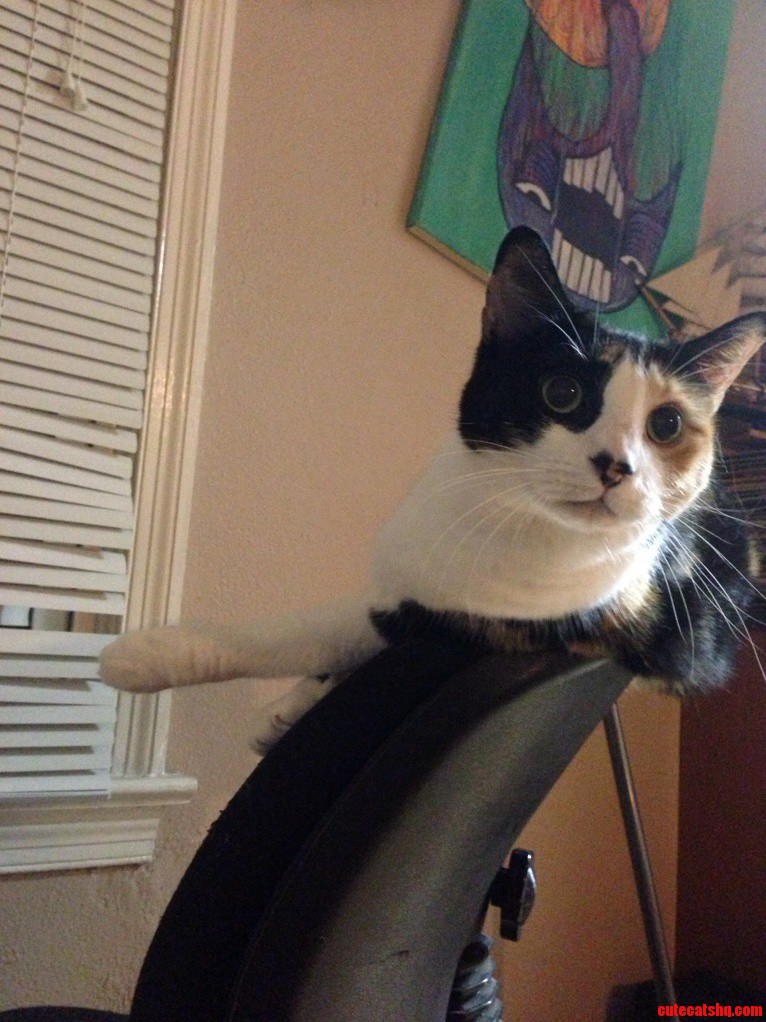 Such Balance.
