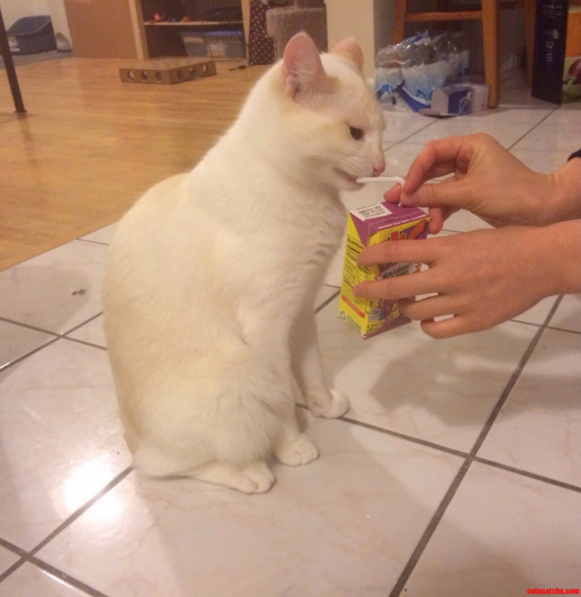 The C in Hi-c Obviously Stands for Cat .