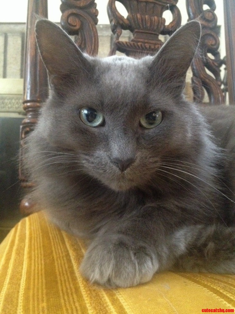 The Very Handsome Smokey.