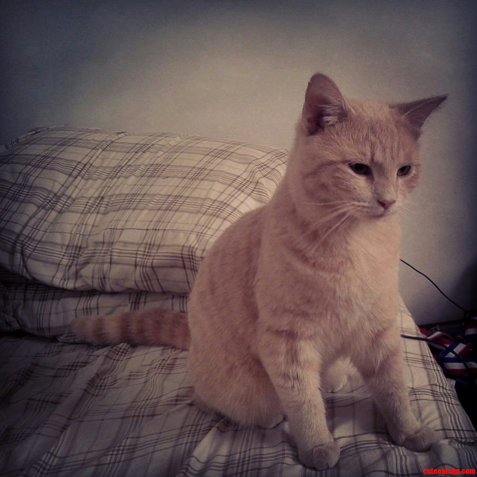 The Yung Scratch Contemplating His Existence