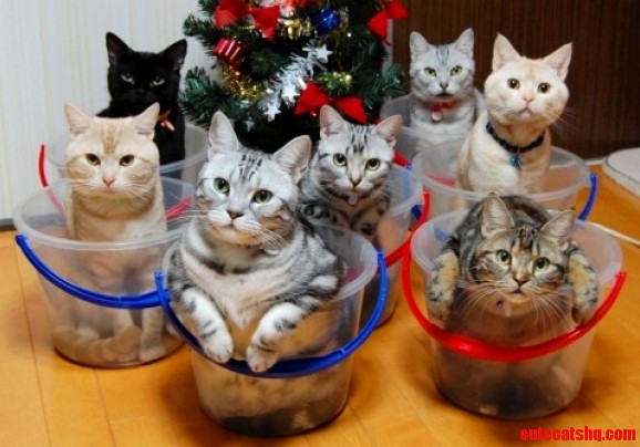 They Ate All the Icecream on My Cake Day