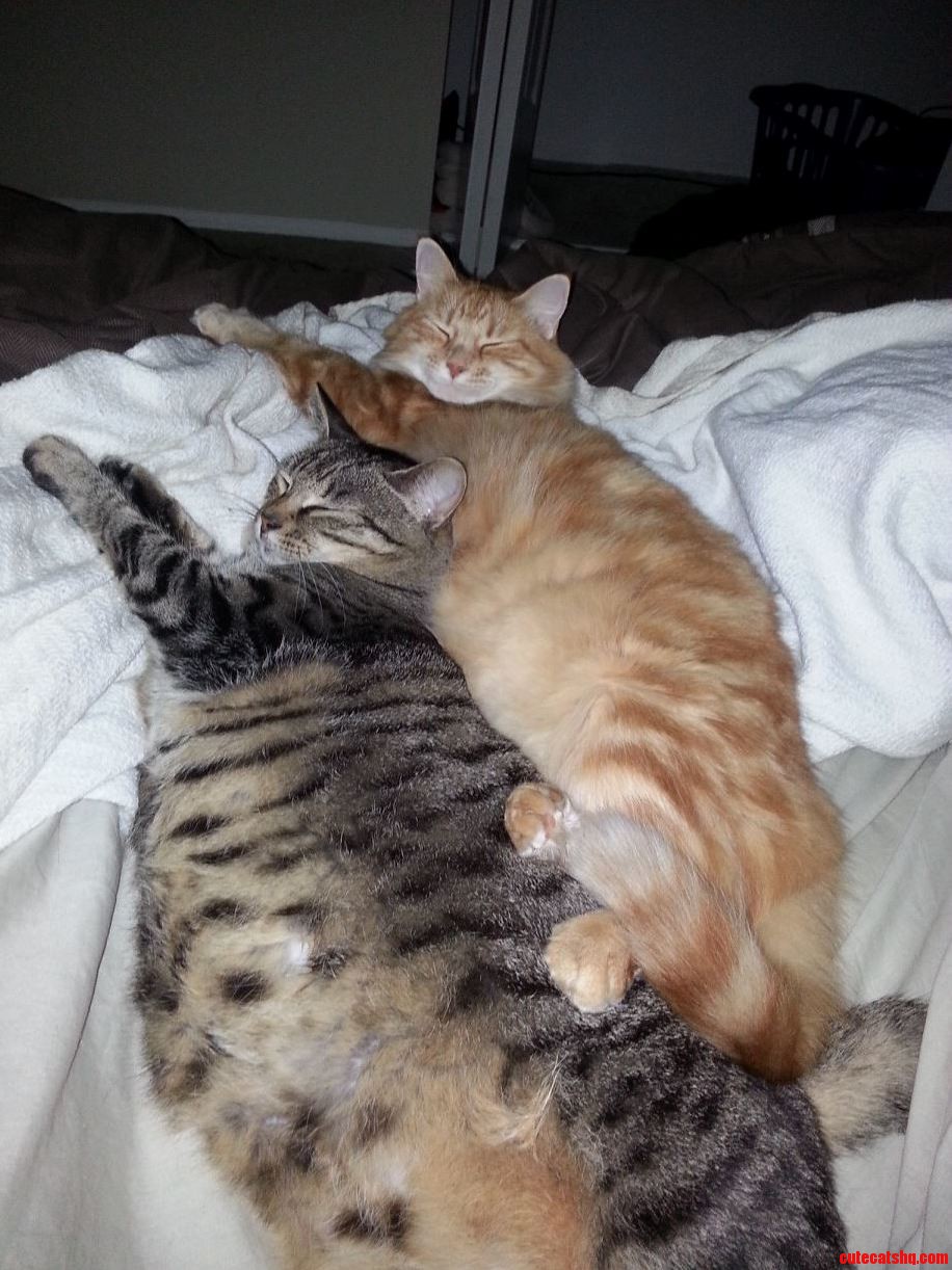 They Keep Each Other Warm