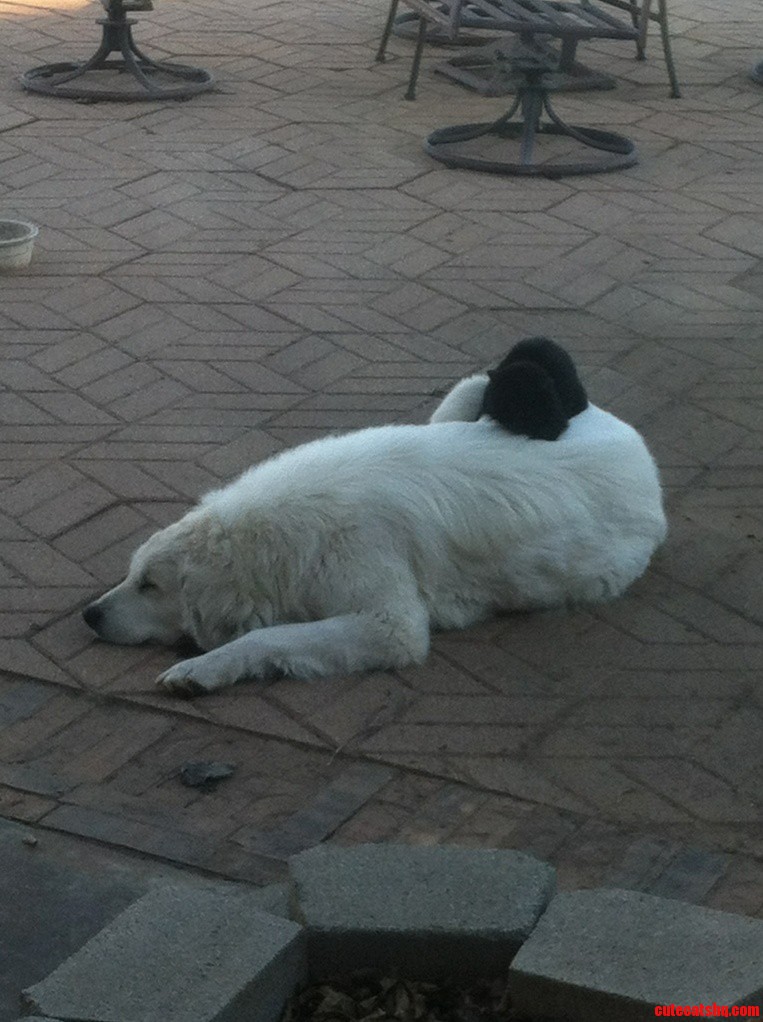 They R Best of Friends