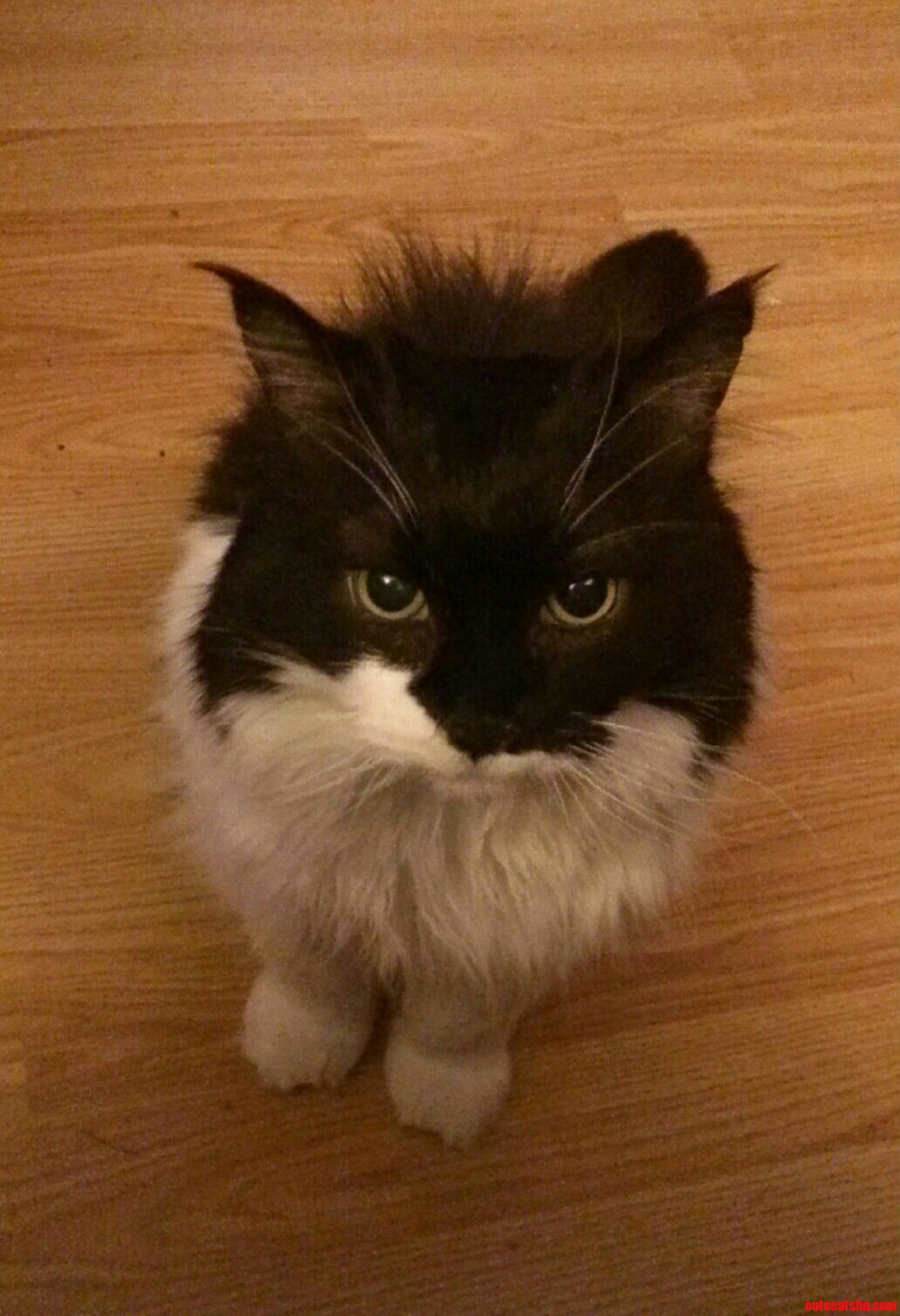 This Is Her Feed Me Face