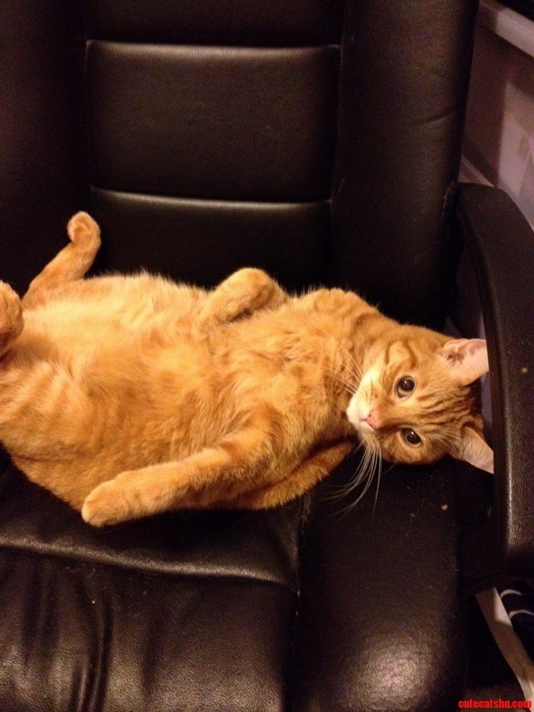 This Is How He Lies When Im Watching a Movie