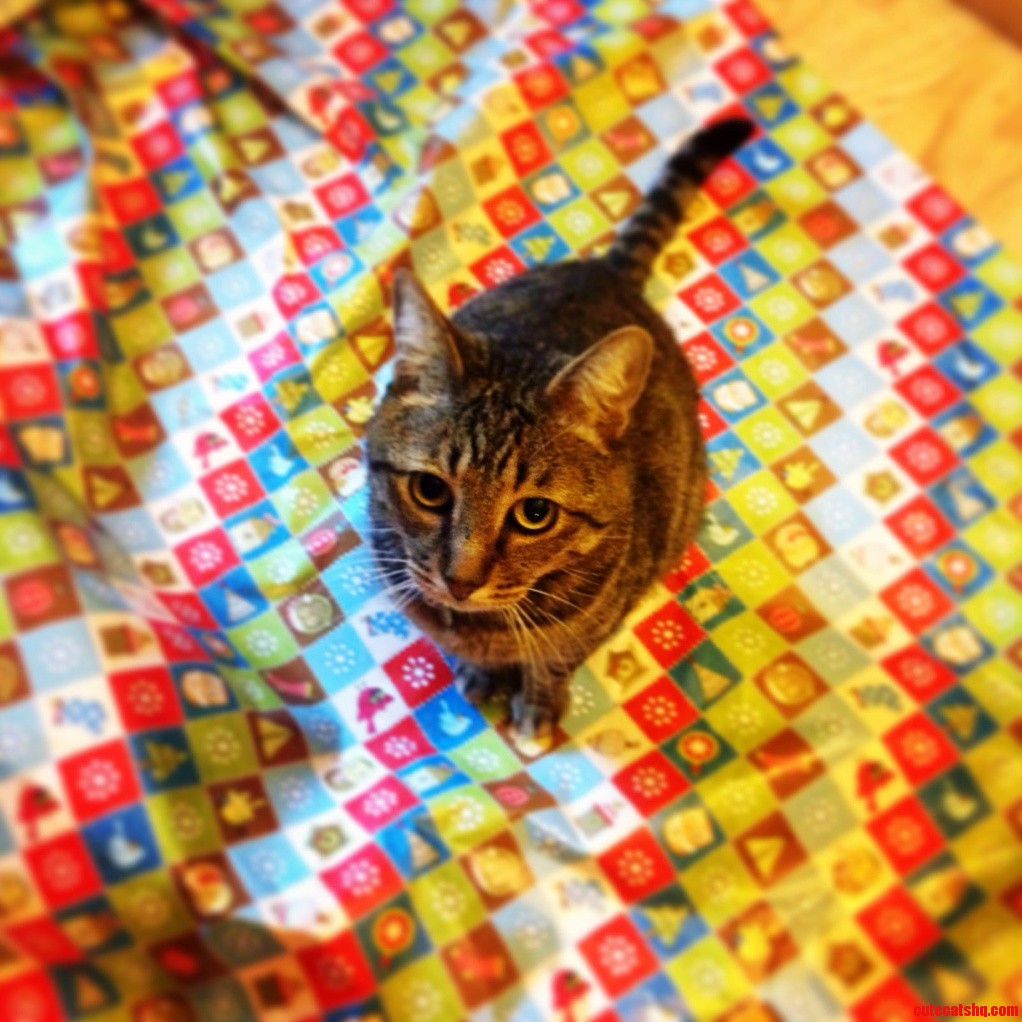 This Is How I Wrap Presents..