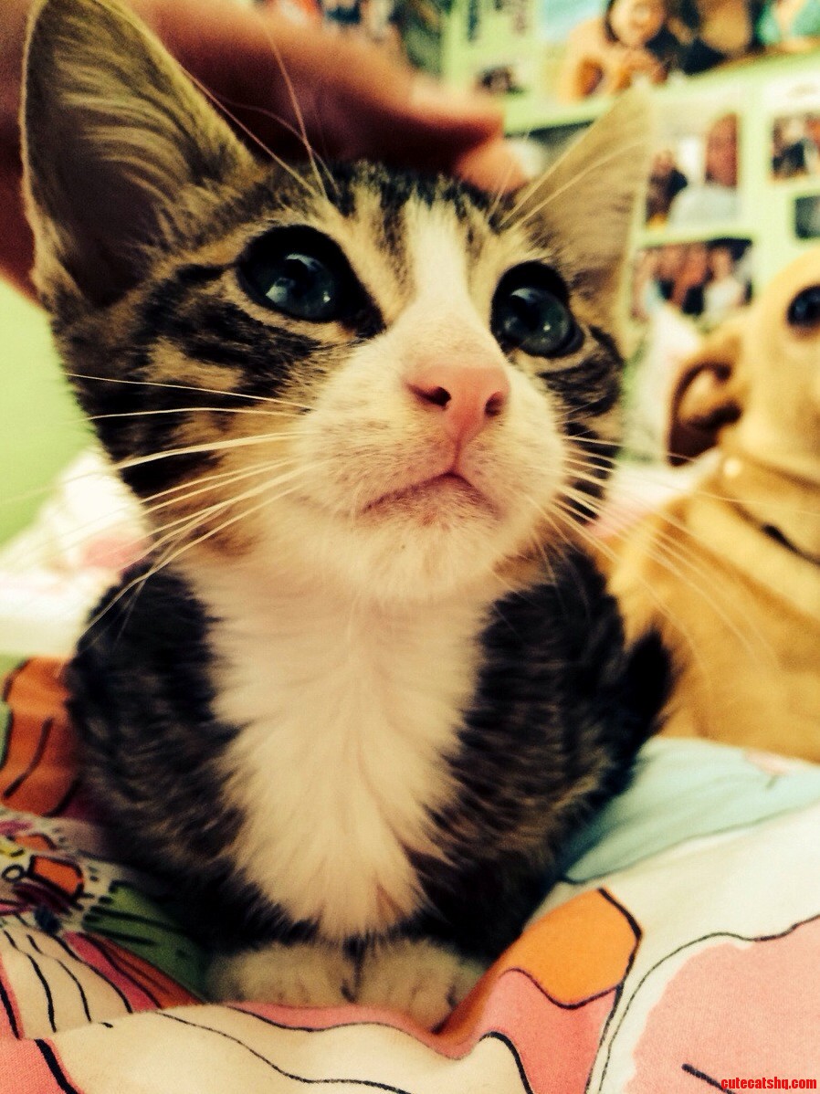 This Is Mr. G Claus and He Was a Christmas Present for a Friends Younger Sister