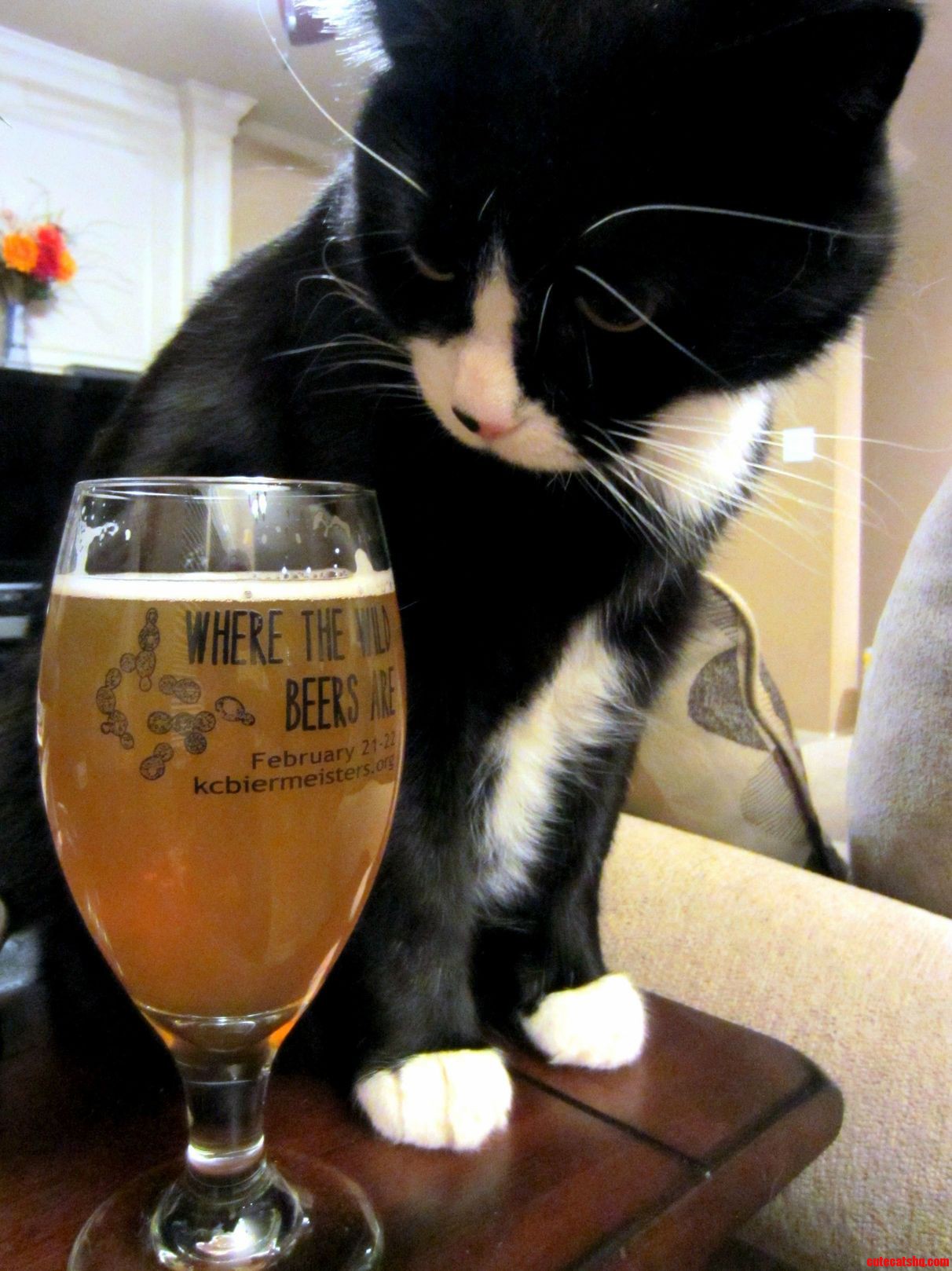 This Isnt the Beer I Ordered...