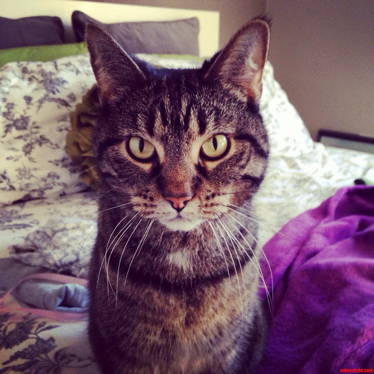 Those Eyes.