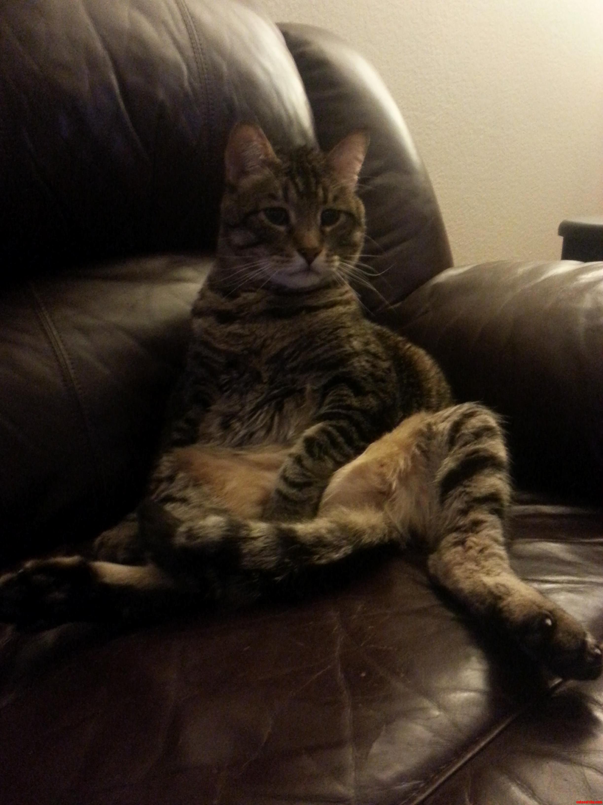 Tigger Looking Dapper As Hell