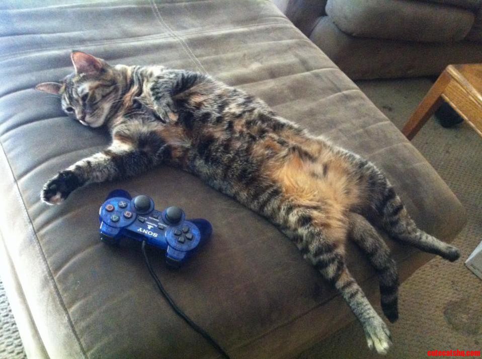 Too Many Video Games...