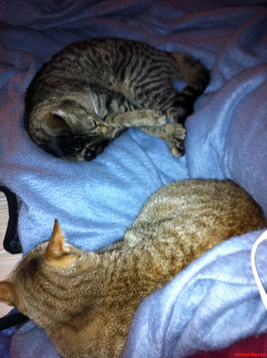 Turned on the Electric Blanket.