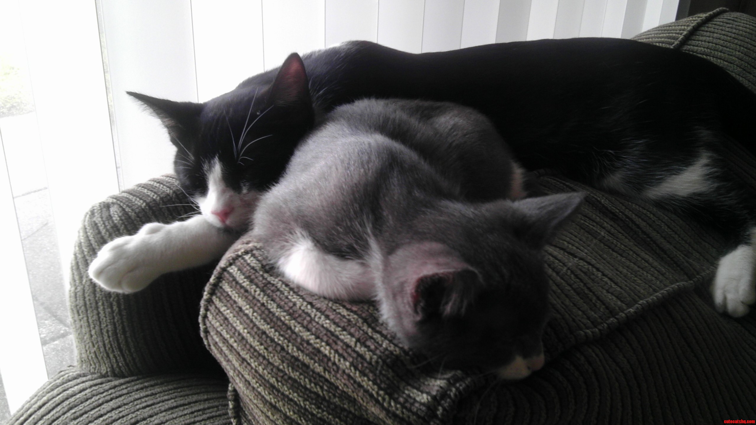 Two Brothers Not in Blood but in Bond