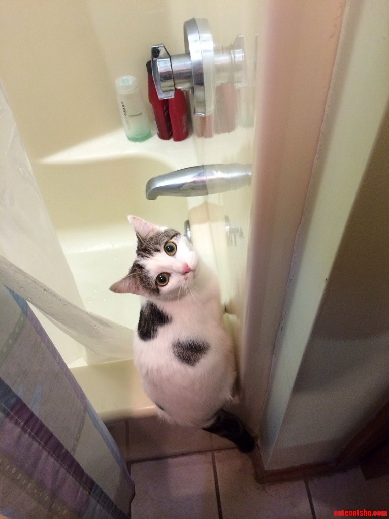 Um Just Wanted You to Know That the Faucet Is Dripping