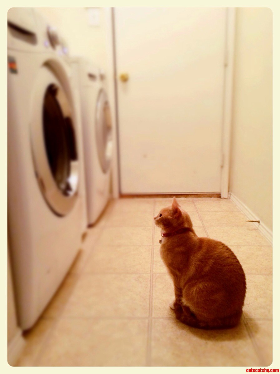 Waiting for the Laundry to Be Done
