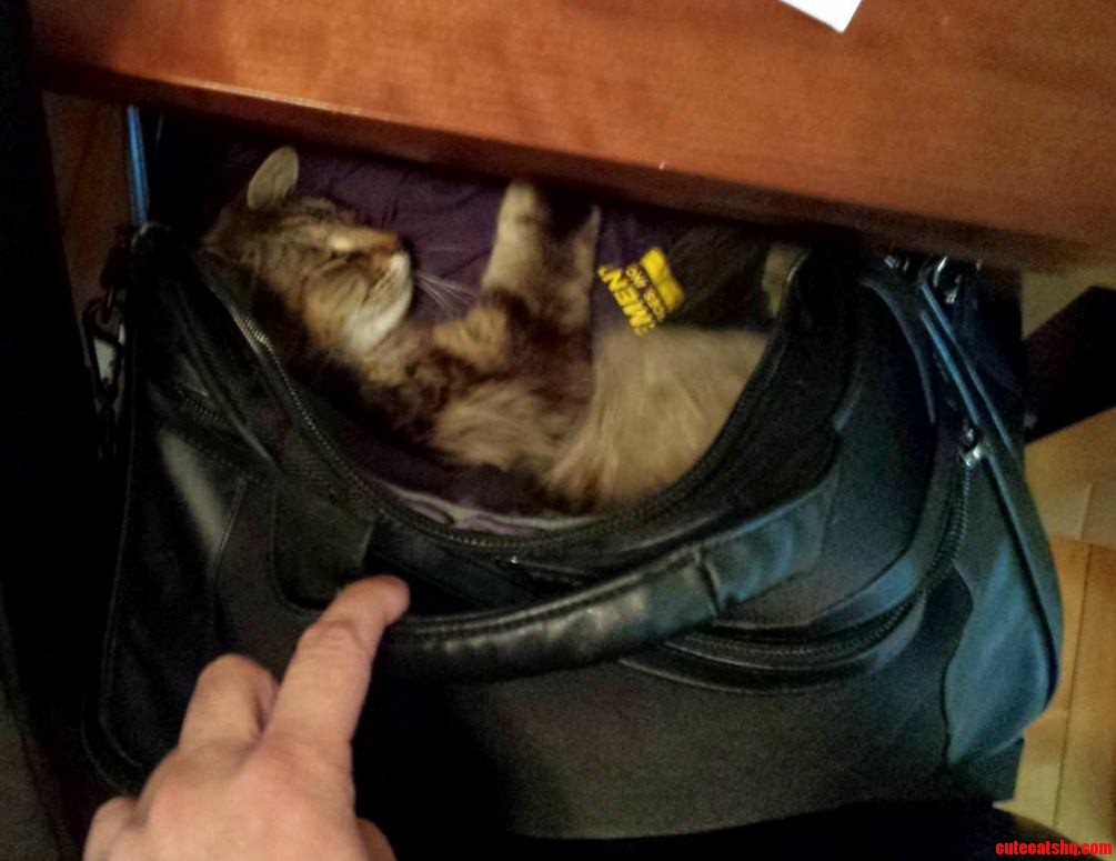 Was Looking for My Laptop When..