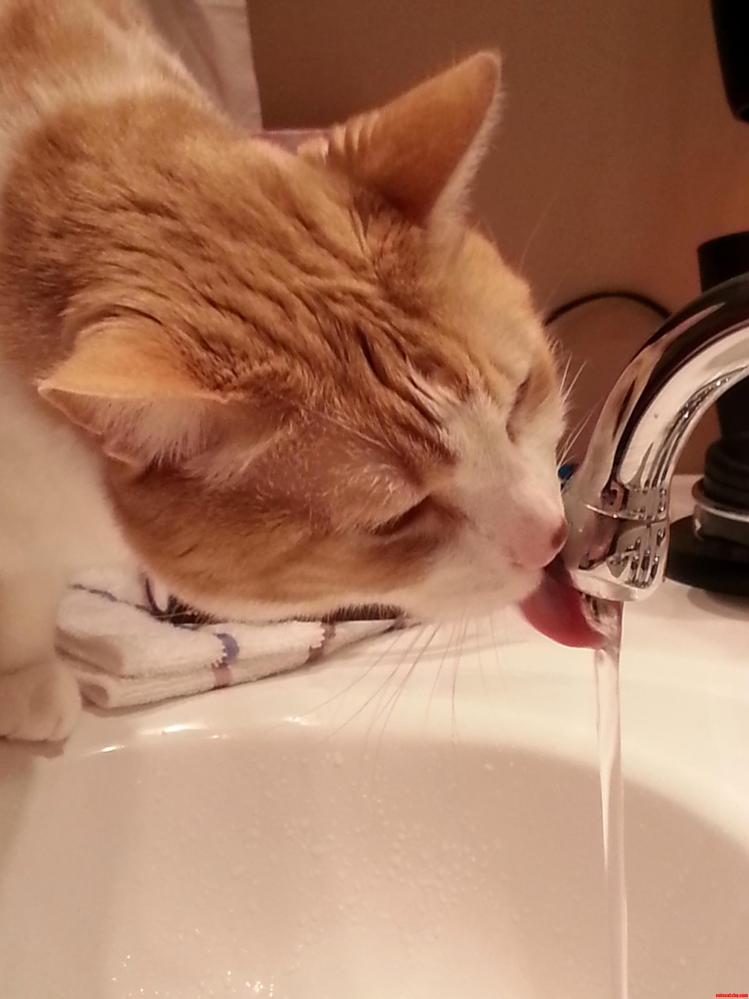 Water Flowing and Not Dripping