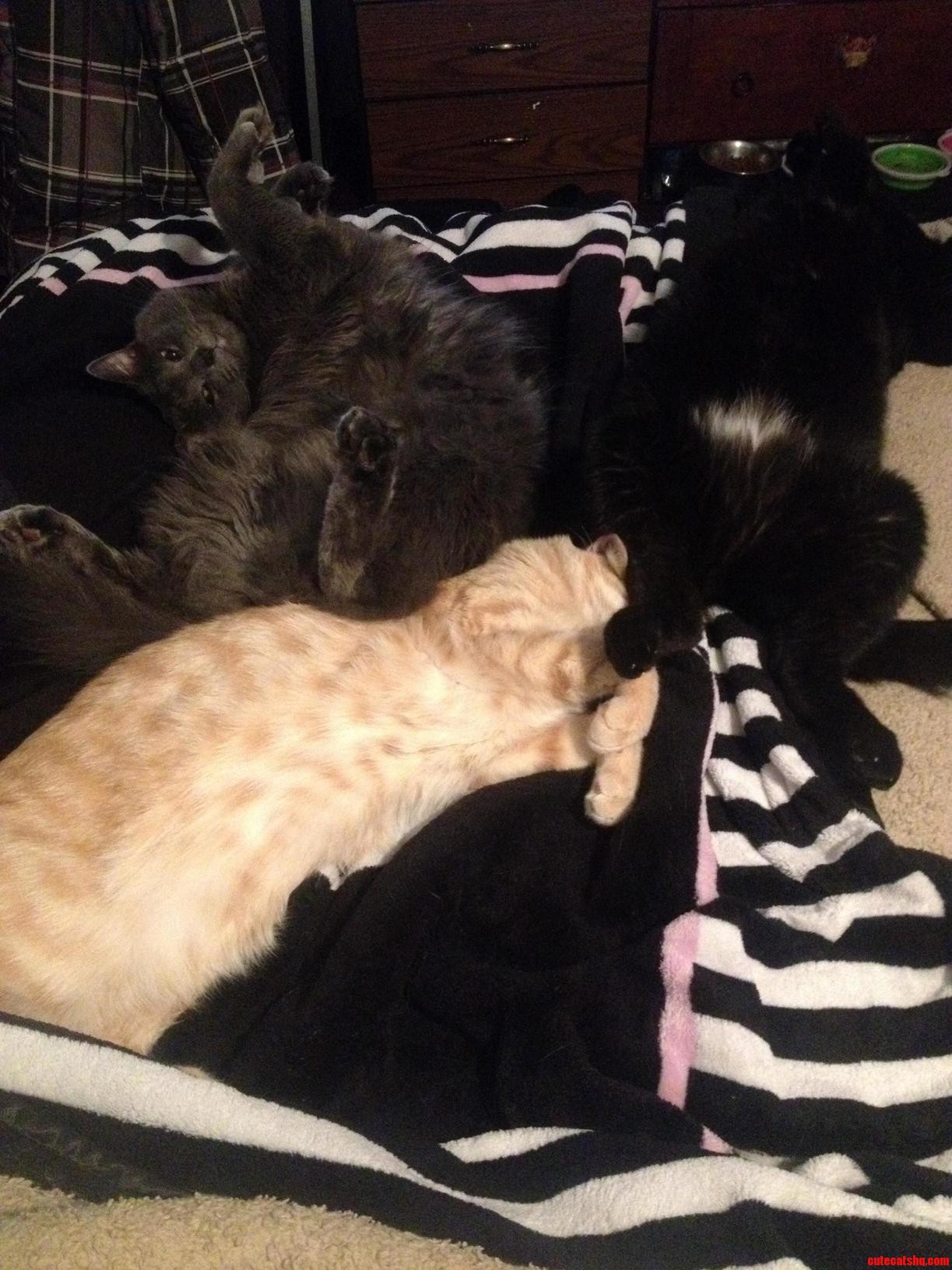 We Currently Sleep on a Full Bed. You Think Theyre Trying to Tell Us Something