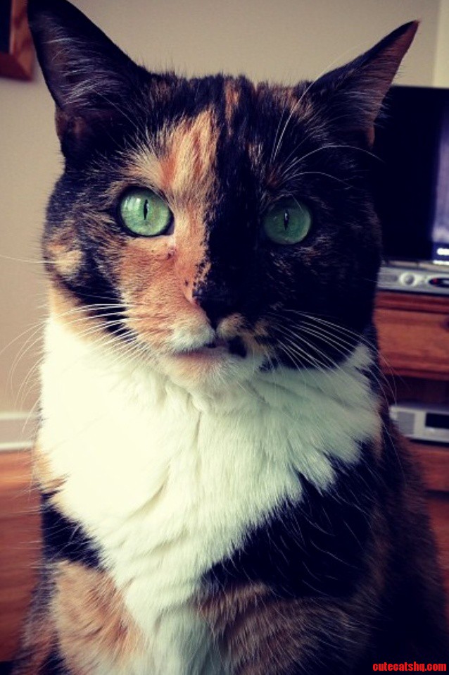 We Dont Mess with Her.