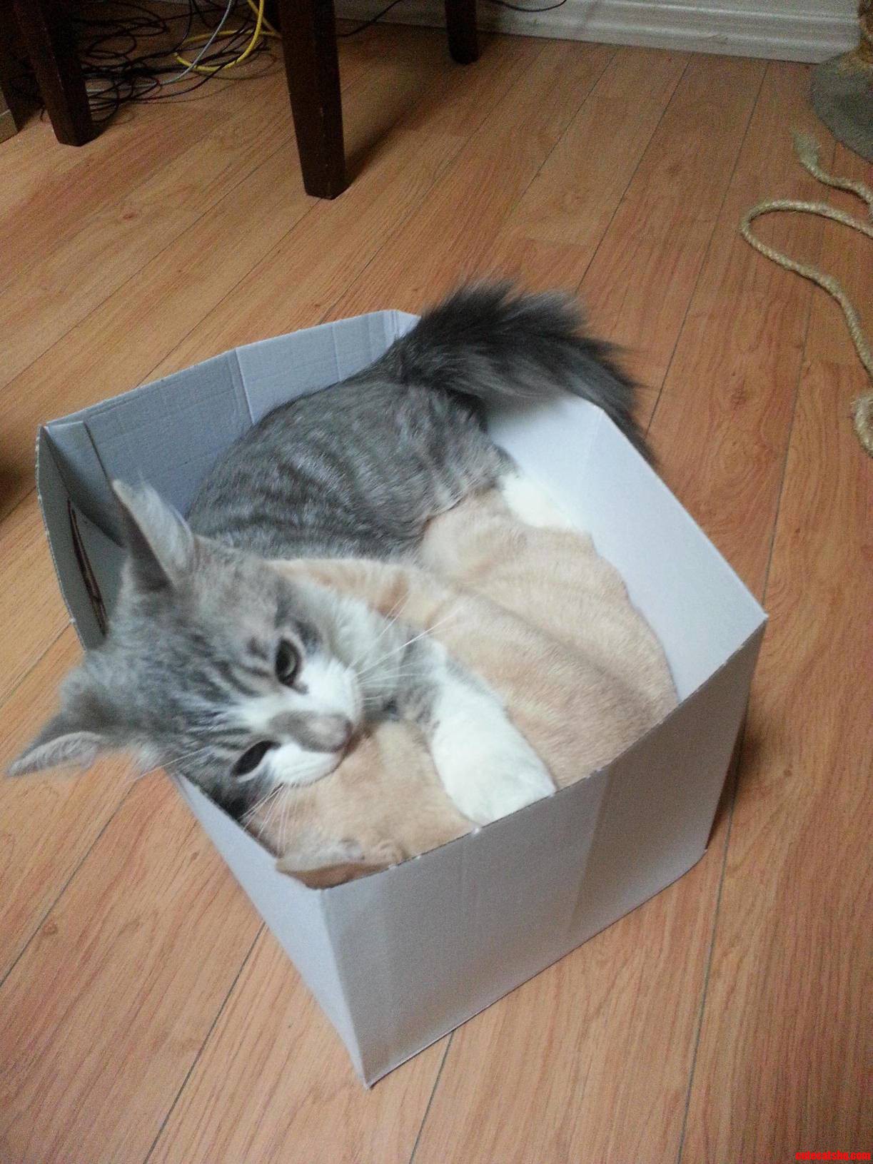 We Fits. We Sleeps.